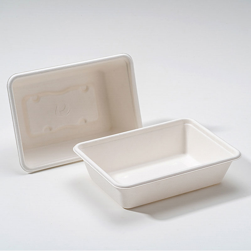 Γιατί το Bagasse Square Box είναι το μέλλον της βιώσιμης συσκευασίας τροφίμων;